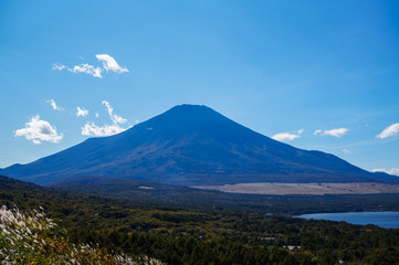 Fototapeta premium 山中湖と富士山