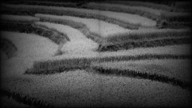 Sapa, Vietnam, video vecchio stile. Effetto retr&ograve; in bianco e nero