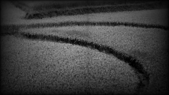 Sapa, Vietnam, video vecchio stile. Effetto retr&ograve; in bianco e nero