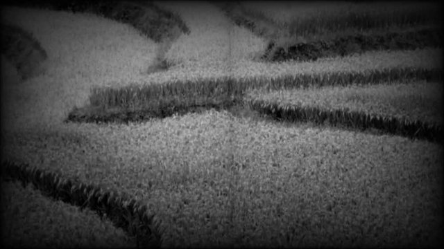 Sapa, Vietnam, video vecchio stile. Effetto retr&ograve; in bianco e nero