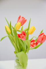 Vertical frontal image of a seven red and yellow Tulips in a vase placed on top of the table 