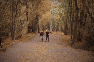 Fototapeta premium Women and men walk hand in hand in the bamboo forest in Phu Kradueng National Park, Loei, Thailand