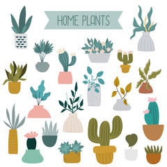 Cartoon home plants and succulents. Design for poster, card, bag and t-shirt, cover. Baby style.