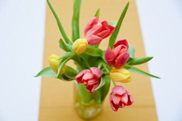 Top down image of a seven red and yellow Tulips in a vase placed on top of the table with a yellow cover on white surface as a blurred background © nikjvt
