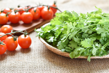 Close-up view, Coriander in a wooden basket with tomatoes on the table too.