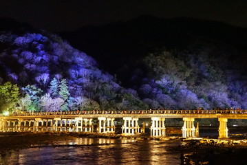 京都　嵐山花灯路