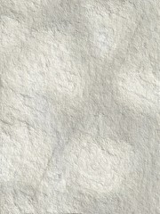 Monochrome texture. Image includes the effect the black and white tones. surface looks rough. Dark design background surface. Gray printing element.