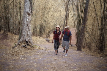 Naklejka premium Kobiety i mężczyźni idą ręka w rękę po bambusowym lesie w Parku Narodowym Phu Kradueng, Loei, Tajlandia