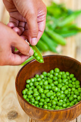 closeup of woman hand depod green peas in brown dish, on wooden table.
