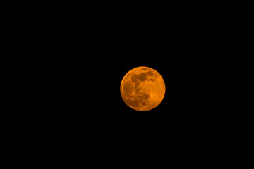 mesmerizing orange full moon