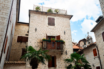 the yard of an old building with ivy on the walls and trees