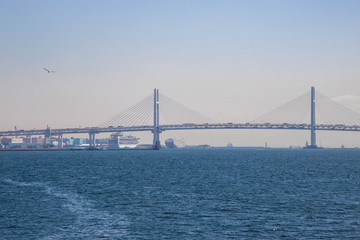 （神奈川県横浜市）みなとみらい橋とシーバス