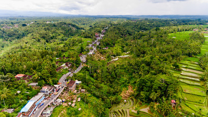 Obraz premium Aerial view of Tegalalang Rice Terrace in Ubud, Bali, Indonesia.