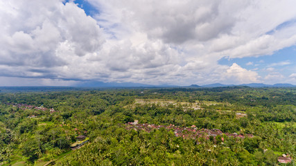 Fototapeta na wymiar Aerial view of Rice Terrace.