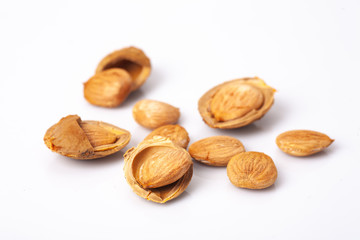 apricot kernel isolated on white background