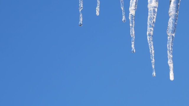 Row of icicle melting with water dripping.