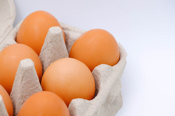 Close-up view of raw chicken eggs in egg box