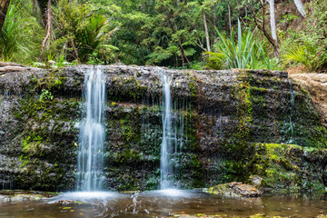 Waterfall at Kauri forest in New Zealand.