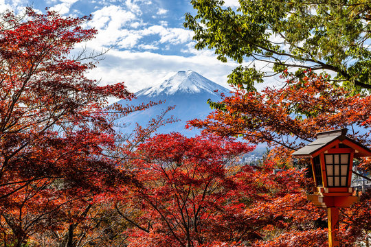 新倉山浅間公園から望む紅葉と富士山