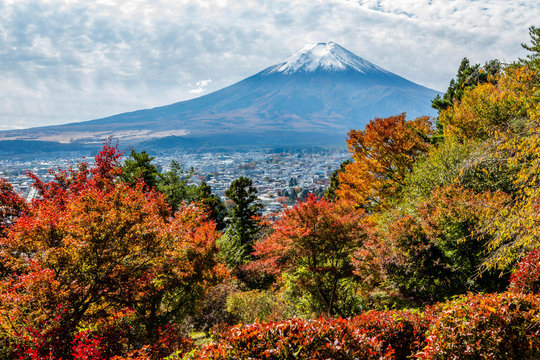 富士見考徳公園から望む紅葉と富士山