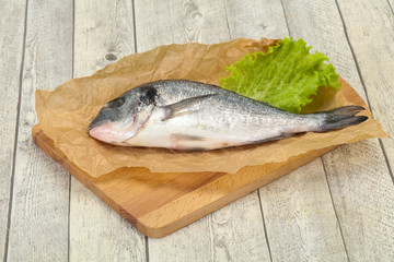 Raw Dorada fish  for cooking