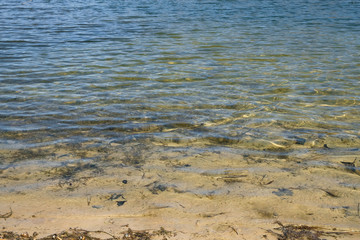 Waves on the clear water surface of the lake in Ukraine. Sandy bottom and water plants are reflected in the sun.