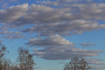 Beautiful clouds and blue sky above the tops of bare trees