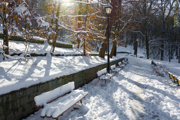 Słoneczny dzień w parku zimą