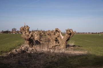Sk&aring;ne landscape in spring around Malm&ouml;