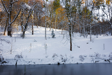 Słoneczny dzień w parku zimą © Heroc
