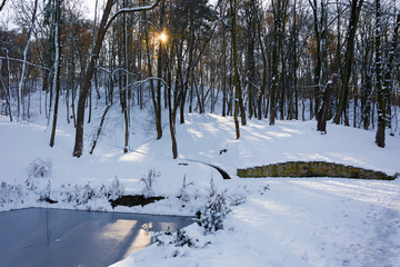 Słoneczny dzień w parku zimą © Heroc