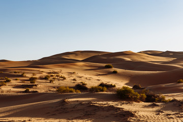 Contours of sand dunes at Liwa, Abu Dhabi, United Arab Emirates