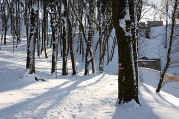 Park zimą w słoneczny dzień © Heroc