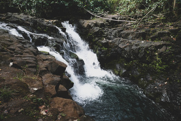 Waterfall hidden in the forest