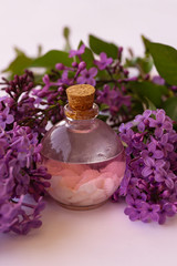 Obraz na płótnie Canvas Lilac flower oil / Syringa Vulgaris