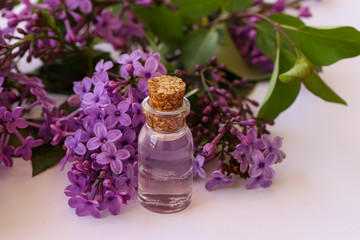 Obraz na płótnie Canvas Lilac flower oil / Syringa Vulgaris