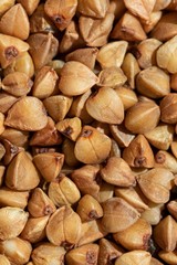 Solid background of fried buckwheat macro