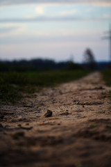 sand and pebbles on a field path with view into the evening horizon