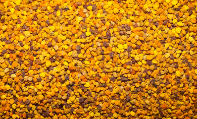 Background of yellow bee pollen