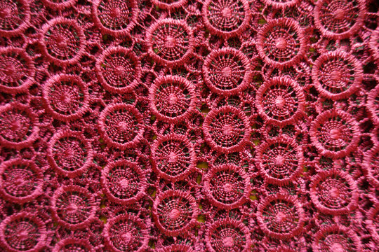Texture of dark red crochet lace fabric from above