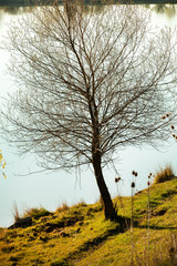 Picture of a lake and trees with colorful leaves on an evening in spring in Moldova. rural landscape. Summer green forest lake view. Lake water reflection. Lake in forest.