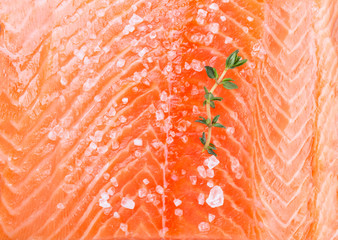 Fillet of fresh salmon with a sprig of thyme