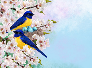 two small yellow blue bird sits near a twisted nest with blue eggs, flowering sakura branch, cherries, spring flowers, Easter background