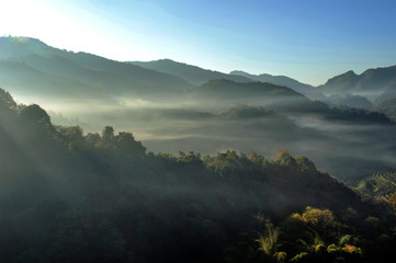 Landscape mist mountaina doi angkhang  in Chiangmai,Thailand