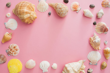 Seashells symbol of summer holiday on the beach on a pink background. Top view and copy space.