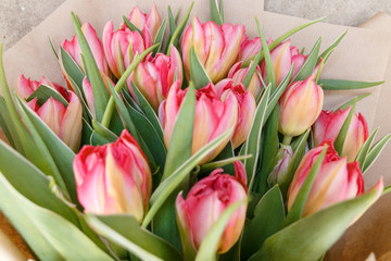 bouquet of tulips macro photography