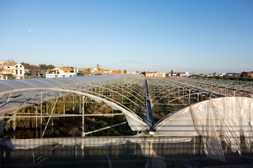 Obraz premium greenhouse seen from above without plastics above