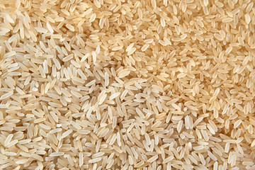 Mix of different types of rice. Rice texture close up