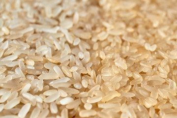 Mix of different types of rice. Rice texture close up