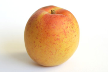 France, Abricot, Fruit d' été sur fond uni
